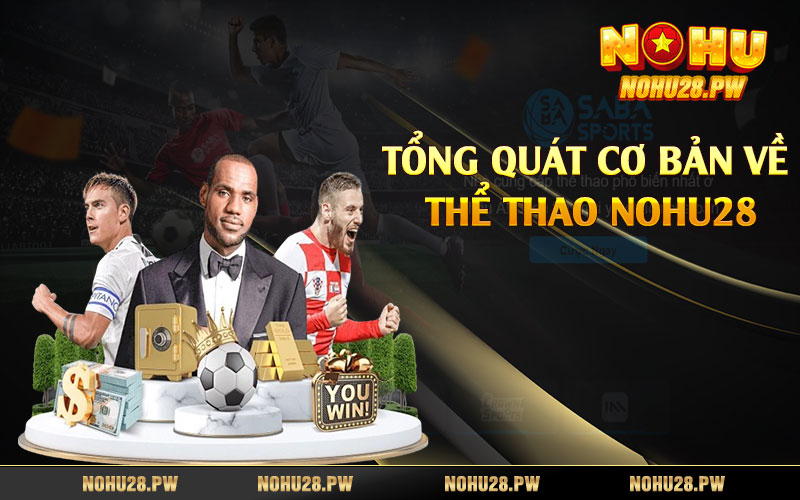 Tổng quát cơ bản về thể thao Nohu28